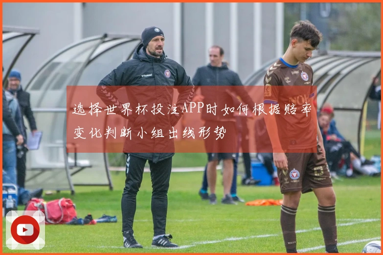 选择世界杯投注APP时如何根据赔率变化判断小组出线形势